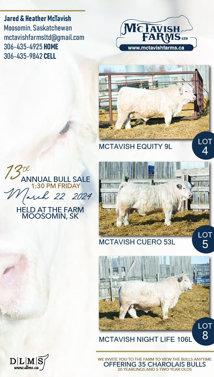 13th Annual Bull Sale 